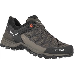 Trekking-Schuhe Mann Salewa Mtn Lite Schwarz