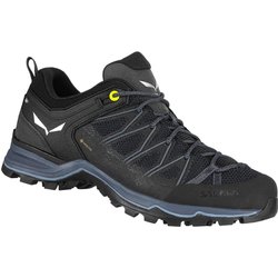 Trekking-Schuhe Mann Salewa Mtn Trainer Lite Gtx Schwarz