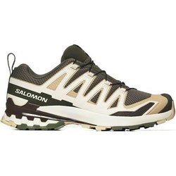 Salomon XA Pro 3D V9 Schuhe grün beige 475833
