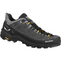 Wanderschuhe Herren Alp Trainer 2 GTX onyx-black
