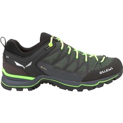 Trekking-Schuhe Mann Salewa Ms Mtn Lite Grün