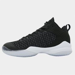 Basketballschuhe Peak Taichi Lou Williams 1