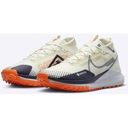 Herren Laufschuhe Nike Pegasus Trail 4 Gtx V2