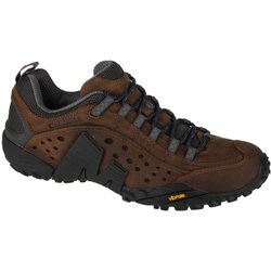 Trekkingschuhe Herren Intercept