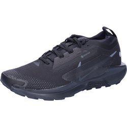 Trail-Schuhe Mann Nike Pegasus Trail 5 Gore-Tex Schwarz