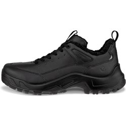 Wanderschuhe Ecco