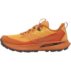 Trailrunningschuhe Herren - Peregrine 15