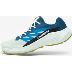 Trailrunningschuhe Herren Salomon - Supraglide grau