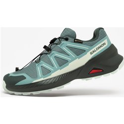 Trailrunningschuhe Damen GoreTex Salomon - Speedcross Peak GTX grün/grau