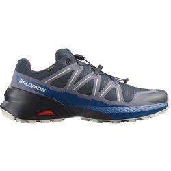Trailrunningschuhe Herren GoreTex Salomon - Speedcross Peak GTX grau
