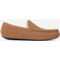 UGG® Ascot Hausschuh für Herren | UGG® EU in Brown, Größe 49.5, Veloursleder