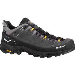 Salewa Alp Trainer 2 GTX Onyx/Black