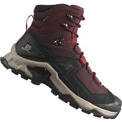 Salomon Quest Element GTX Chocolate Plum/Madder Brown/Goji Berry