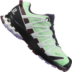 Salomon XA PRO 3D v8 GTX Patina Green/Wine Tasting/Lavender