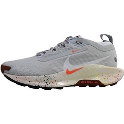Nike Pegasus Trails Gore FQ0912 Grau platinum/white 007