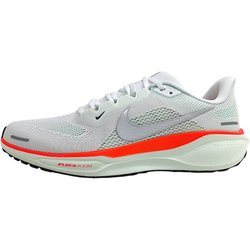 Nike Pegasus FD2722-115 Weiß white/metallic silber 115