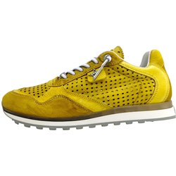 Cetti C848 Gelb used tin lemon
