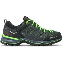 Trekkingschuhe Salewa Ms Mtn Trainer Lite Gtx GORE-TEX 61361-5945 Grün