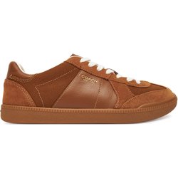 Sneakers Coach Ellis CBX21 Braun