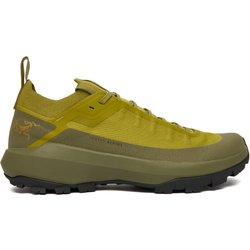 Trekkingschuhe Arc'teryx Verte Alpine Gtx Gore-Tex X000009602 Grün