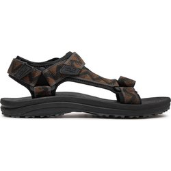 Sandalen Jack Wolfskin Wave Breaker 4052011 Braun