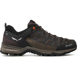 Trekkingschuhe Salewa Ms Mrn Trainer Lite Gtx GORE-TEX 61361-7512 Braun