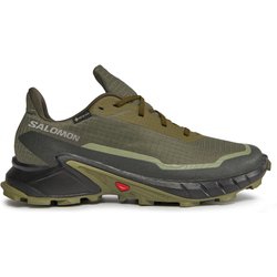 Laufschuhe Salomon Alphacross 5 Gtx GORE-TEX 473103 29 W0 Grün