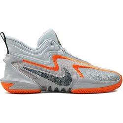 Basketballschuhe Nike DH1537-004 Grau