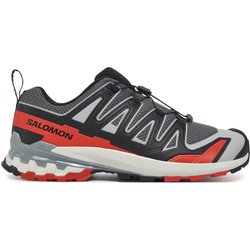 Trekkingschuhe Salomon Xa Pro 3D V9 L47747600 Grau