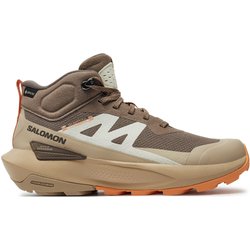 Trekkingschuhe Salomon Elixir Activ Mid Gore-Tex L47457200 Beige