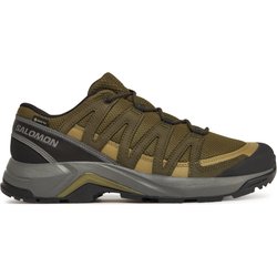 Trekkingschuhe Salomon X-Adventure Recon Gore Tex L47813200 Grün