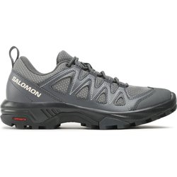 Trekkingschuhe Salomon X Braze W 471802 20 V0 Grau