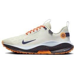 Nike ReactX Infinity Run 4 GORE-TEX Sea Glass Purple Ink Herren Sneaker Creme Blautönung FB2204-002
