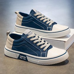 Große, atmungsaktive Skateboard-Canvas-Schuhe für Herren – weiche Sohle, lässig, vielseitig, trendige Mode 42