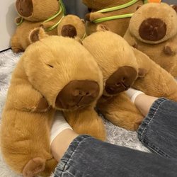 Kapibala Cartoon Weiche süße Capybara-Baumwollpantoffeln zum Warmhalten im Herbst und Winter, All-Inclusive-Plüsch-Baumwollpantoffeln für Paare 36-41