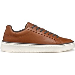 Geox Sneakers U Zackerty U46HPA 000CL C0013 Braun