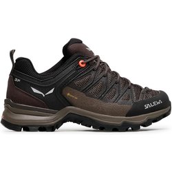 Salewa Trekkingschuhe Ws Mtn Trainer Lite Gtx GORE-TEX 61362-7517 Braun