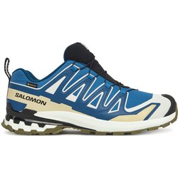 Salomon Trekkingschuhe Xa Pro 3D V9 Gore-Tex L47817400 Blau
