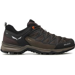 Salewa Trekkingschuhe Ms Mrn Trainer Lite Gtx GORE-TEX 61361-7512 Braun