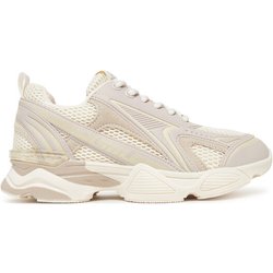 Steve Madden Sneakers Speedster-E SM19000122 Écru