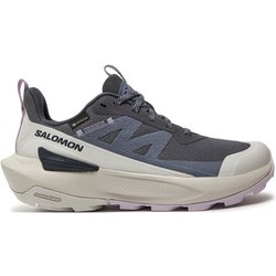 Salomon Sneakers Elixir Activ Gore-Tex L47526500 Grau