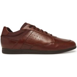 Geox Sneakers U Renan U554GC 000FF C6003 Braun