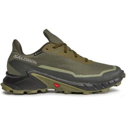 Salomon Laufschuhe Alphacross 5 Gtx GORE-TEX 473103 29 W0 Grün