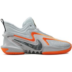 Nike Basketballschuhe DH1537-004 Grau