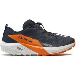 Salomon Laufschuhe Sense Ride 5 Gore-Tex L47459400 Grau