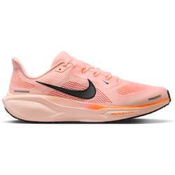 Laufschuhe Nike Pegasus 41