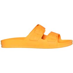 Slides Cacatoès Rio De Janeiro