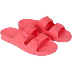 Slides Cacatoès Rio De Janeiro