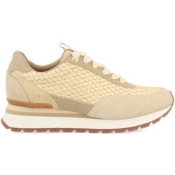Sneakers Gioseppo Gaggi