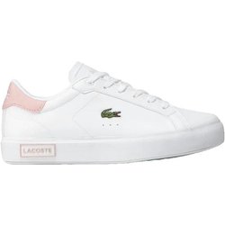 Sneakers Lacoste Powercourt